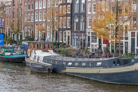 Houseboats along a city canal with tall traditional houses in the background, Amsterdam,