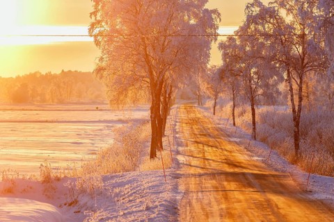 Country road in sunset light in a winter landscape