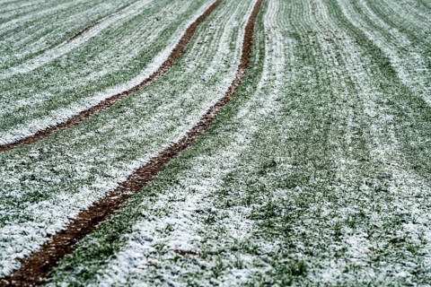 Agricultural fields in winter, Oberweser, Upper Weser Valley, Weser Uplands, Weserbergland, Hesse,