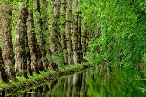 Canal tributary of the river Cher, castle of Chenonceau, 16th century, Chenonceaux, department of