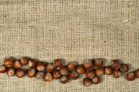 Closeup hazelnuts on burlap. Arranged as border