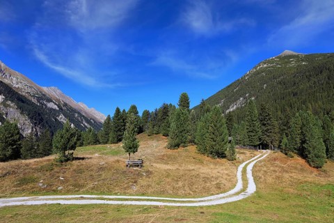 Valley in the mountains of Austria. Sunny autumn day. The dirt path winds between yellowed fields