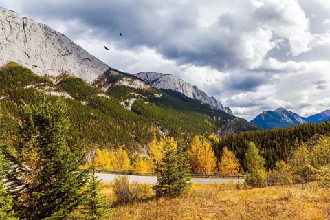 Rain clouds cover the sky. Orange and yellow leaves of aspens and birches adorn the mountains. Road