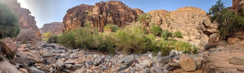 Hiking through the iconic Amtoudi canyon in the Anti-Atlas, Morocco, Africa