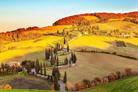 Italy. Slender cypress trees adorn and frame the roads. Wonderful warm sunny day in late autumn.