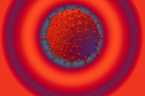 Covid-19 Novel Coronavirus Bacteria. No Infection and Stop Coronavirus Concepts