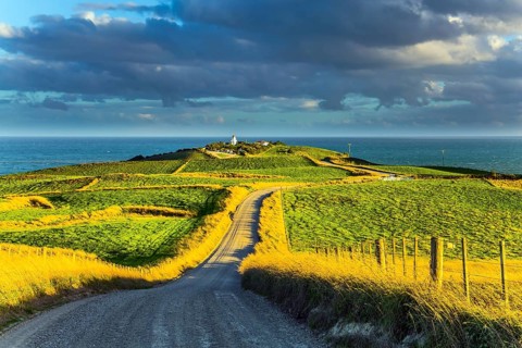 Southern Scenic Route. South Island of New Zealand. Incredible orange sunset over green fields.