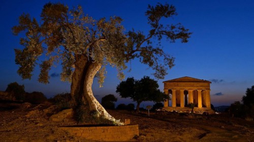 Italy, Sicily, Agrigento, Temple of Concordia by night, Temple of Concordia, Greek antiquity,