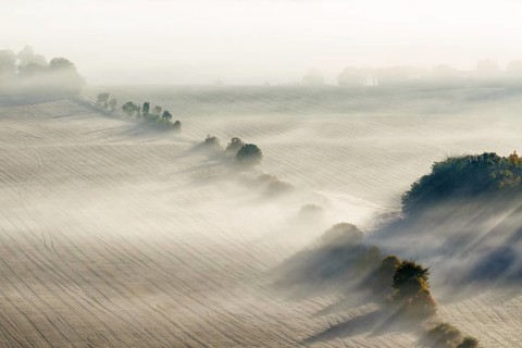 Morning fog on a new harvested field