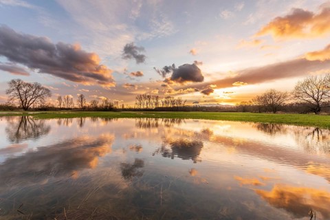 Sky of pink and orange clouds reflecting in a flooded meadow in the evening. Alsace, France, Europe