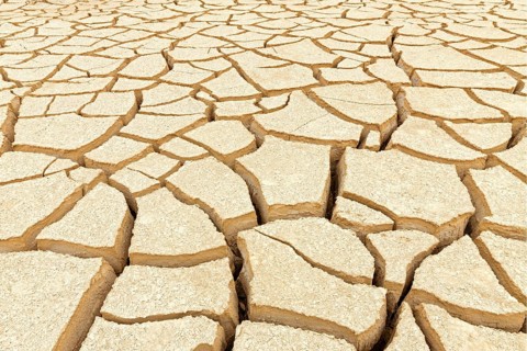 Dry soil in Israel, Middle East, parched soil, cracks Israel