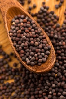 Brown mustard seeds
