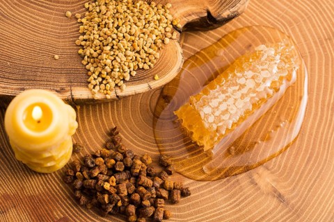 Honeycomb, pollen and propolis