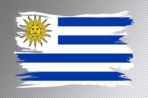 Uruguay flag brush stroke, national flag on transparent background