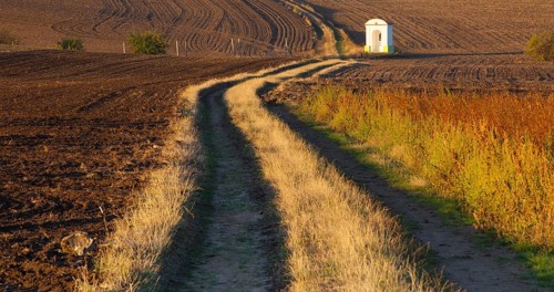 Small chapel in the autumn field. Autumn landscape with agricultural land, recently plowed and