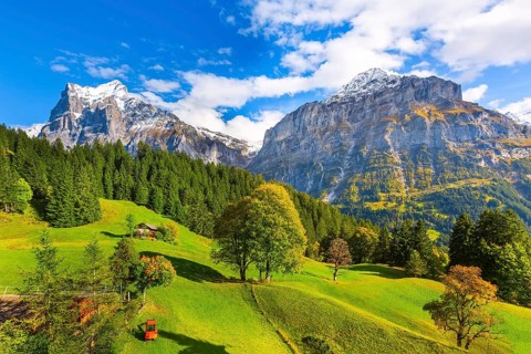Grindelwald, Switzerland aerial village view and autumn Swiss Alps mountains panorama landscape,