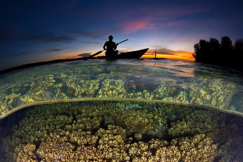 Coral reef at sunset, New Ireland, Papua New Guinea, Oceania