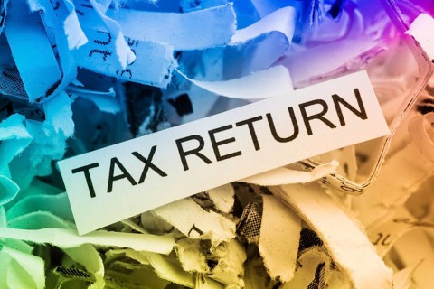 Paper shreds with the keyword Tax Return, symbolic photo for data destruction, data protection and