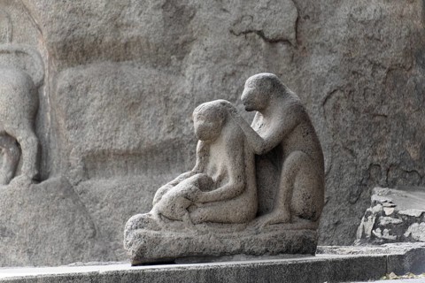 Stone sculpture of monkeys in an everyday scene, finely detailed, Mahabalipuram, Tamil Nadu, South