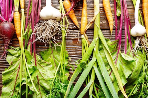 Vegetarian background of fresh organic beetroots green garlic and carrots on kitchen wooden rustic