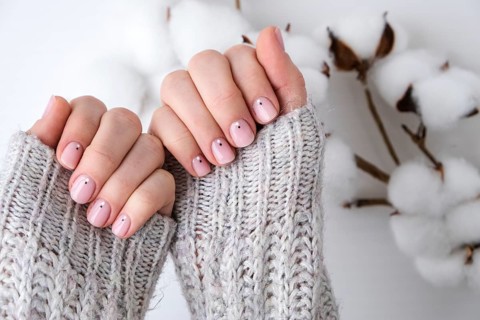 Woman hands with beautiful nude manicure holding delicate white cotton flower. Female Manicure,