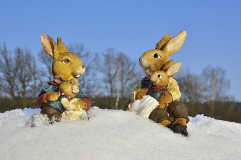 Easter bunny meets snowman, Easter bunny meets snowman