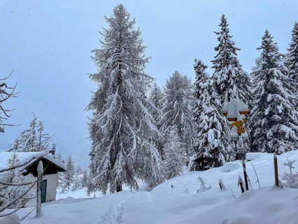 Chalets in the Motta Naluns ski area, Scuol, Graubünden, Switzerland, Europe