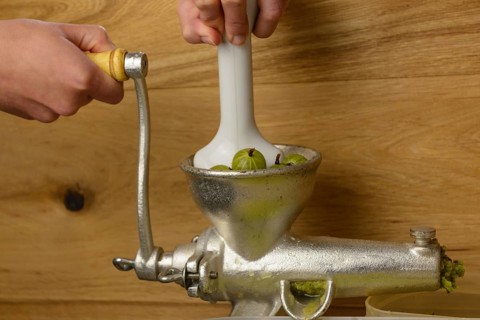 Green gooseberries being pressed - close-up of fruit press