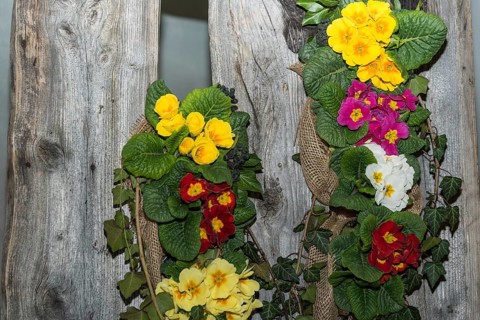 Original wall decoration on a weathered wooden wall with primroses