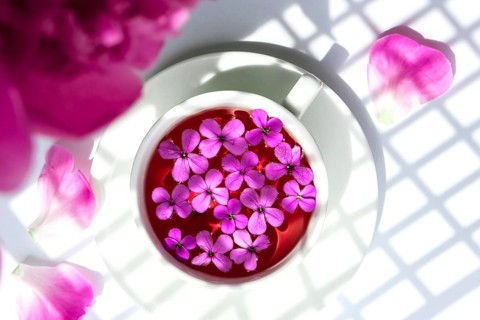 Creative layout with pink peonies flowers and cup of tea on bright table. Trendy shadows Spring