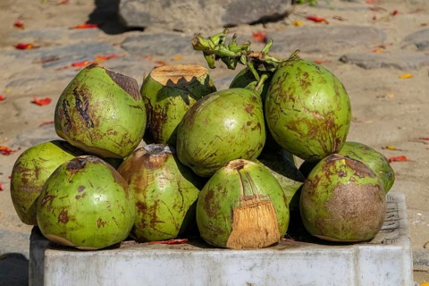 Close-up of fresh green coconuts stacked ready to sell on a market in historic town Paraty, Brazil,