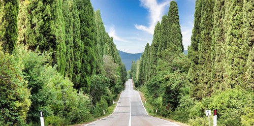 Tuscany, Italy. Asphalt line in nature, panoramic road to travel destination Bolgheri
