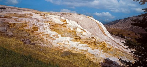 Limestone terraces of Mammoth Hot Springs, Yellowstone National Park, Wyoming, USA, North America