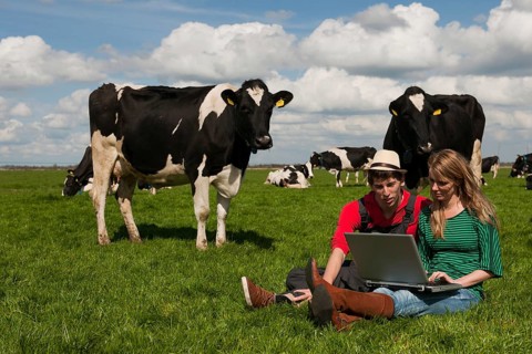 Young couple farmers in farm field with laptop and black and white cows