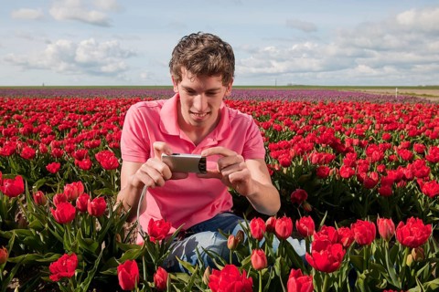 Portrait of an young man taking pictures in tulips field with photo camera