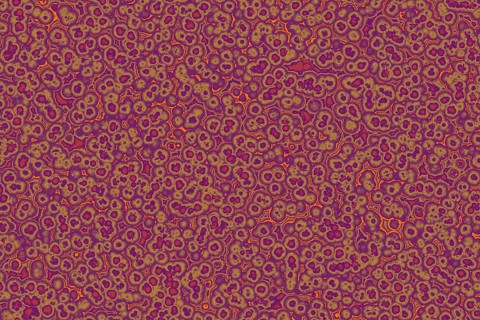 Shape of bacterial cell: cocci, bacilli, spirilla bacteria background