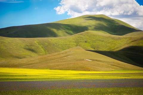 Farmland at Piano Grande, Castelluccio, Umbria, Italy, Europe
