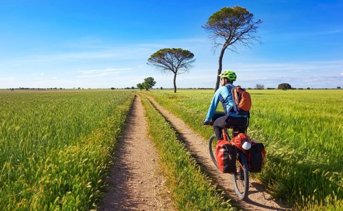 Biker by Camino de Santiago in bicycle at Saint James Way of Levante of Spain