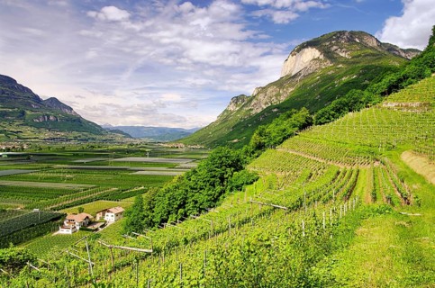 Trentino 01