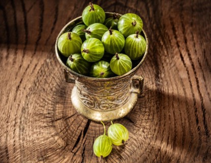 Juicy gooseberries in metal bowl on vintage wood background
