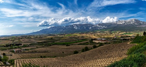 A landscape view of vineyards and mountains in the La Rioja Alavesa region of northern Spain