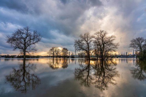 Flood on the Rhine, Germany. Chempark Dormagen in the background