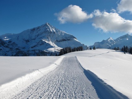 Ski slope on the Wispile, Spitzhorn