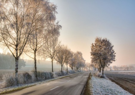 Country road in a winter landscape with frosted trees (Bavaria) (Germany)