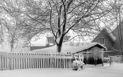 Winter in the Vogtland, The wheelbarrow on the fence
