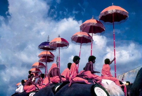 Colorful view of the Thiruvembady group in Pooram festival at Thrissur Trichur, Kerala, South
