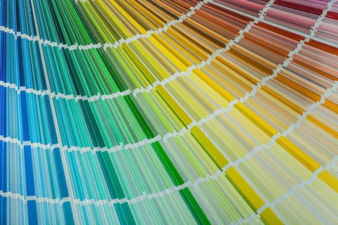 Multi-coloured Pantone fan top view
