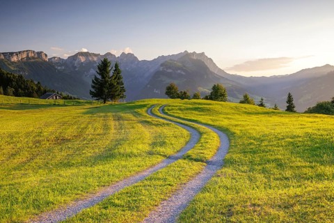 A winding path meanders across a green meadow towards the mountains at sunrise, Fähnerenspitz,