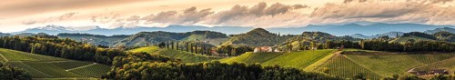 Vineyards panorama in South Styria, beginning of autumn. Austria Tuscany like spot