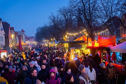 Christmas market on the village green Altkötzschenbroda Radebeul, Saxony, Germany, Europe